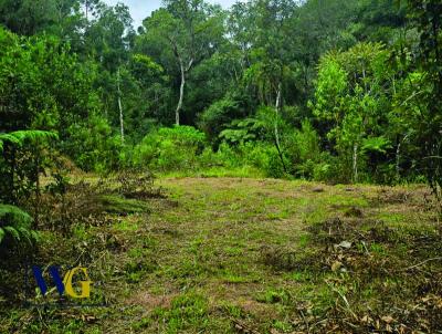 Chcara para Venda, em Campo Largo, bairro Felpudo