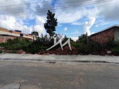 Terreno para Venda, em So Gonalo, bairro Marambaia