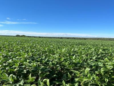 Fazenda para Venda, em Tapurah, bairro Rural