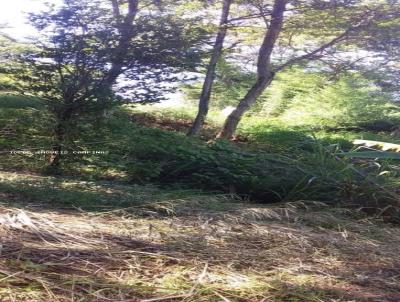 Terreno para Venda, em Campinas, bairro 
