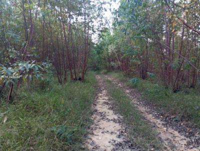 Fazenda para Venda, em Coronel Xavier Chaves, bairro rea Rural