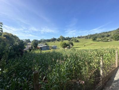 Terreno para Venda, em Dois Irmos, bairro Travesso