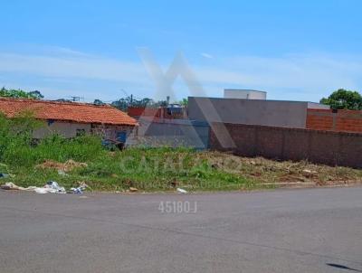 Terreno para Venda, em Bauru, bairro Jardim Nicia