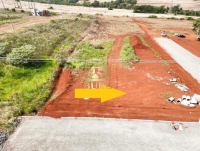 Terreno para Venda, em Santa Rosa, bairro Figueira