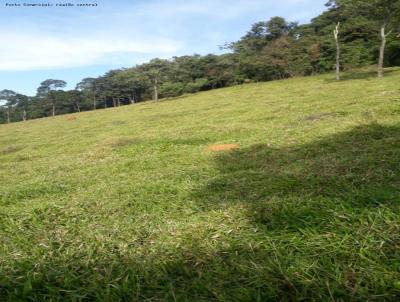 rea Rural para Venda, em Esprito Santo do Dourado, bairro 