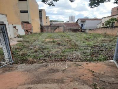 Terreno para Venda, em Bauru, bairro Centro