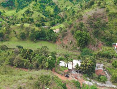 Chcara para Venda, em Itanhomi, bairro MIRAVAL DE BAIXO