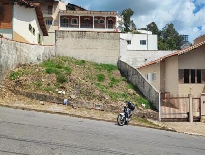 imagem-miniatura