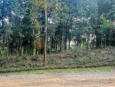 Terreno em Condomnio para Venda, em Atibaia, bairro Loteamento Bosque dos Palmares