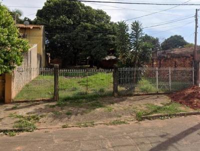 imagem-miniatura
