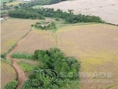 rea Rural para Venda, em Crissiumal, bairro interior