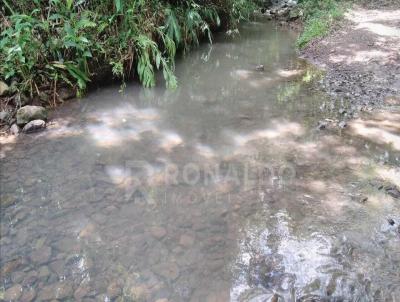 Stio para Venda, em Riozinho, bairro -