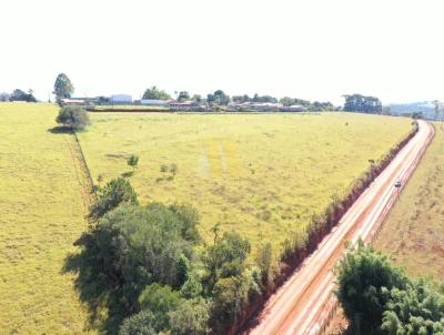 Lote para Venda, em Pouso Alegre, bairro rea Rural de Pouso Alegre