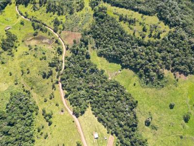 rea Rural para Venda, em Vargem, bairro bairro Aparecida