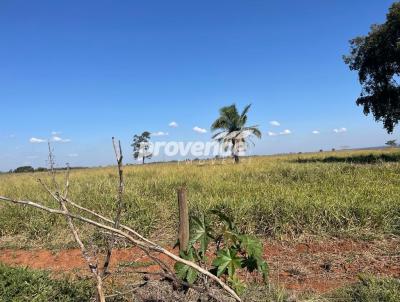 Fazenda para Venda, em Santa F do Sul, bairro Centro