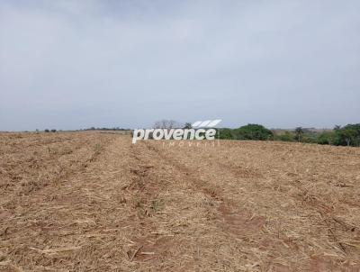 Fazenda para Venda, em Limeira, bairro Centro