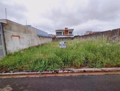 Terreno para Venda, em Ouro Preto do Oeste, bairro PARK AMAZONAS
