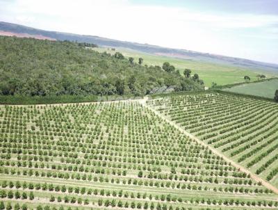 Fazenda para Venda, em Brotas, bairro Centro