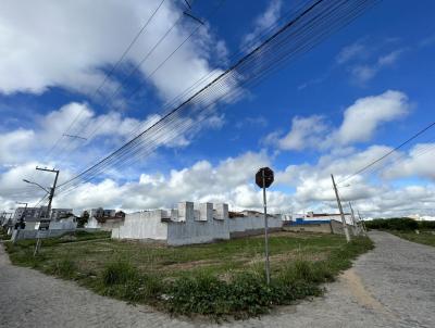 Terreno para Venda, em Campina Grande, bairro Trs Irms