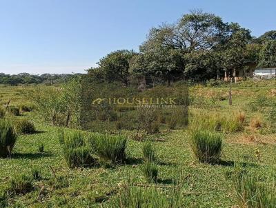 rea para Venda, em Jaguarina, bairro Roseira de Baixo