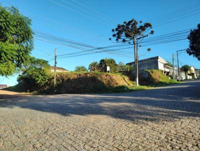 Terreno para Venda, em Camaqu, bairro Centro