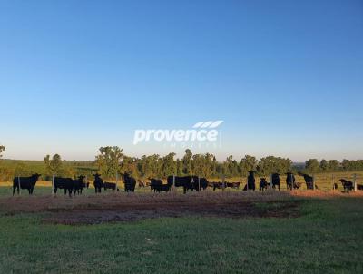 Fazenda para Venda, em Getulina, bairro Centro