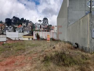 Terreno para Venda, em Almirante Tamandar, bairro Tangu