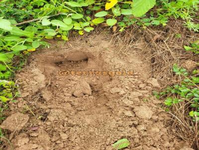 Fazenda para Venda, em Guiratinga, bairro Zona rural