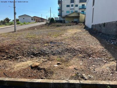 Terreno para Venda, em Campos Novos, bairro Bairro Santo Antonio