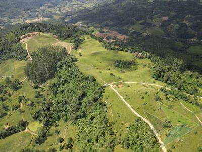 Fazenda para Venda, em Salete, bairro Furninha de Ftima