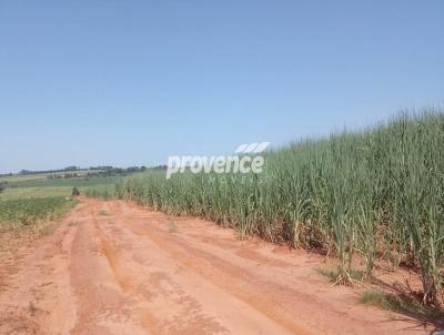 Fazenda para Venda, em Itpolis, bairro gua Branca