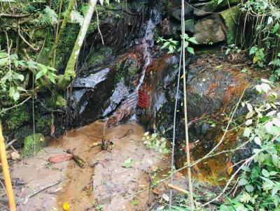 rea para Venda, em Cunha, bairro Santa Rosa