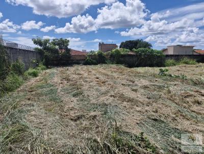 Lote para Venda, em Aparecida de Goinia, bairro Residencial Village Garavelo