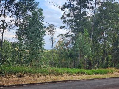 Terreno para Venda, em Campinas, bairro Morada das Nascentes