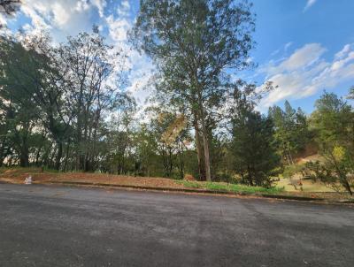 Terreno para Venda, em Campinas, bairro Morada das Nascentes