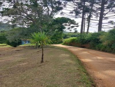 Chcara para Venda, em Campo Largo, bairro Ouro fino