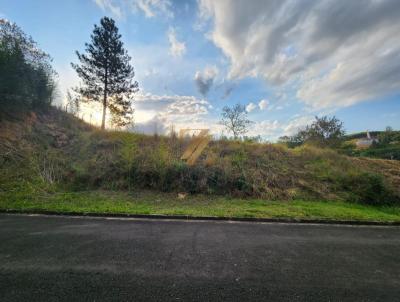 Terreno para Venda, em Campinas, bairro Morada das Nascentes