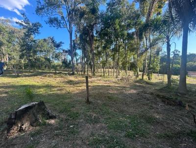 Chcara para Venda, em Fazenda Rio Grande, bairro Eucaliptos
