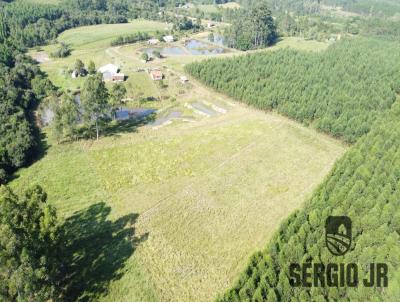 Stio / Chcara para Venda, em Triunfo, bairro rea rural, 1 dormitrio, 1 banheiro, 2 vagas