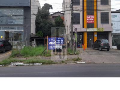 Terreno Comercial para Venda, em Viamo, bairro Viampolis, 4 dormitrios, 3 banheiros