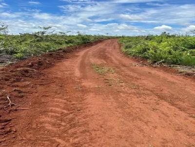 Fazenda para Venda, em Paraso do Tocantins, bairro ZONA RURAL