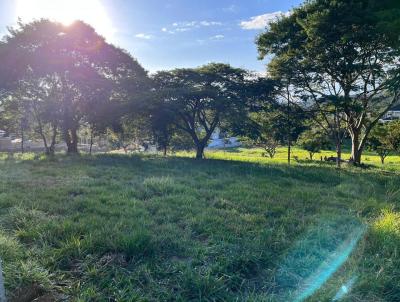 Terreno para Venda, em Jambeiro, bairro Tapanho