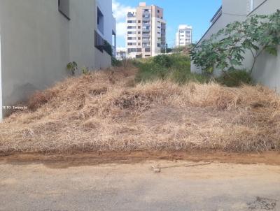 Lote para Venda, em So Joo del Rei, bairro Vila Belizario