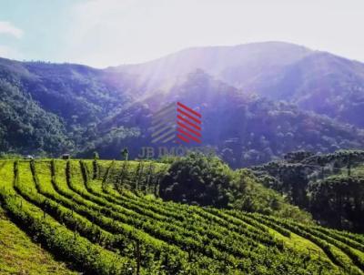 Fazenda para Venda, em Carvalhos, bairro Estrada dos franceses