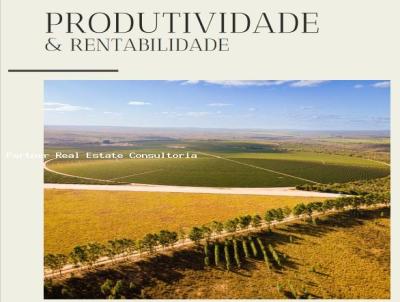 Fazenda para Venda, em Berizal, bairro Zona Rural, 10 dormitrios, 10 banheiros, 99 vagas