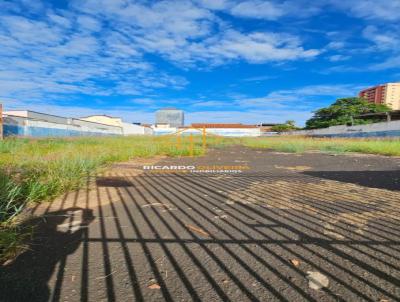 Terreno Comercial para Venda, em So Jos do Rio Preto, bairro Centro