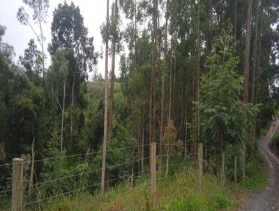 Stio para Venda, em Vidal Ramos, bairro Centro, 2 dormitrios, 1 banheiro