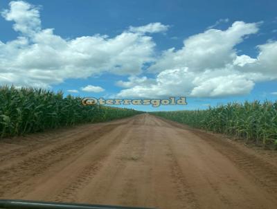 Fazenda para Locao, em Campo Verde, bairro Zona rural