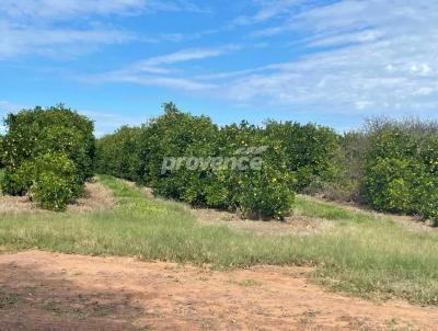 Fazenda para Venda, em Botucatu, bairro Centro