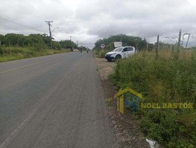 Terra para Venda, em Santo Estvo, bairro LAMARO